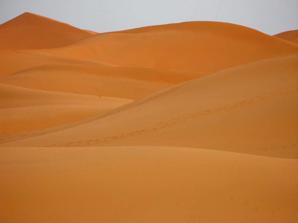 Maison Hassan Merzouga Dış mekan fotoğraf